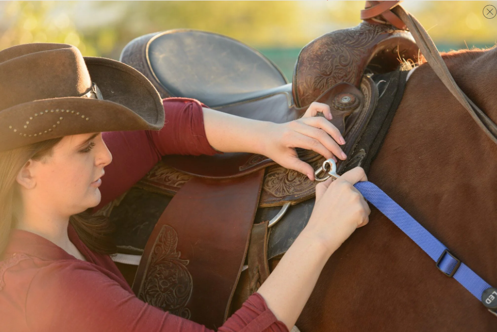 Equine LED Combo Kit - Breast Collar + Tail Light + (4) Leg Straps