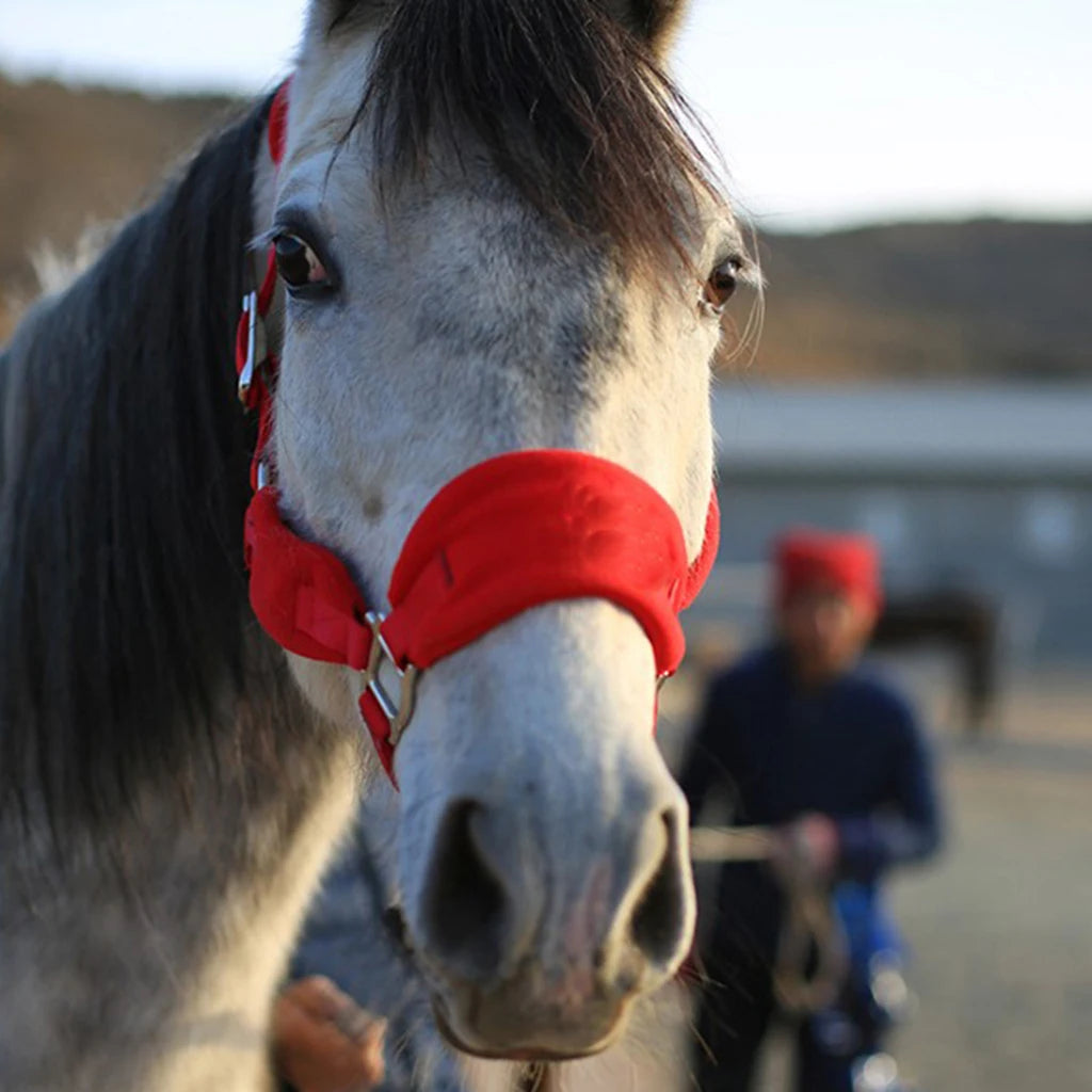 Comfy Thicken Pony Cob Horse Halter Bridle Head Collar Strap Equipment Horse Bridle Headstall Accessories Western