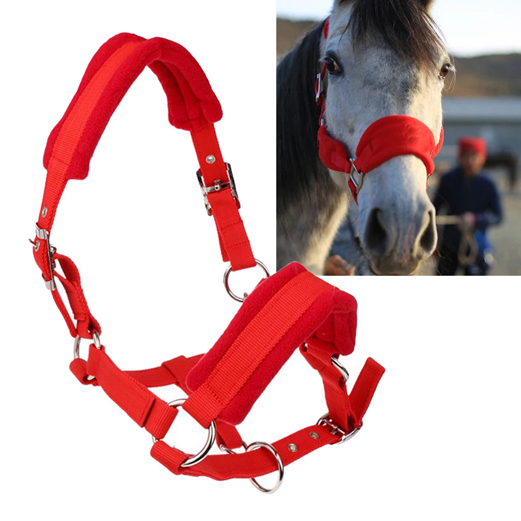 Comfy Thicken Pony Cob Horse Halter Bridle Head Collar Strap Equipment Horse Bridle Headstall Accessories Western