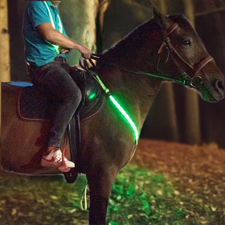 Reflective Horse LED Breast Plate - Equine Safety Lights