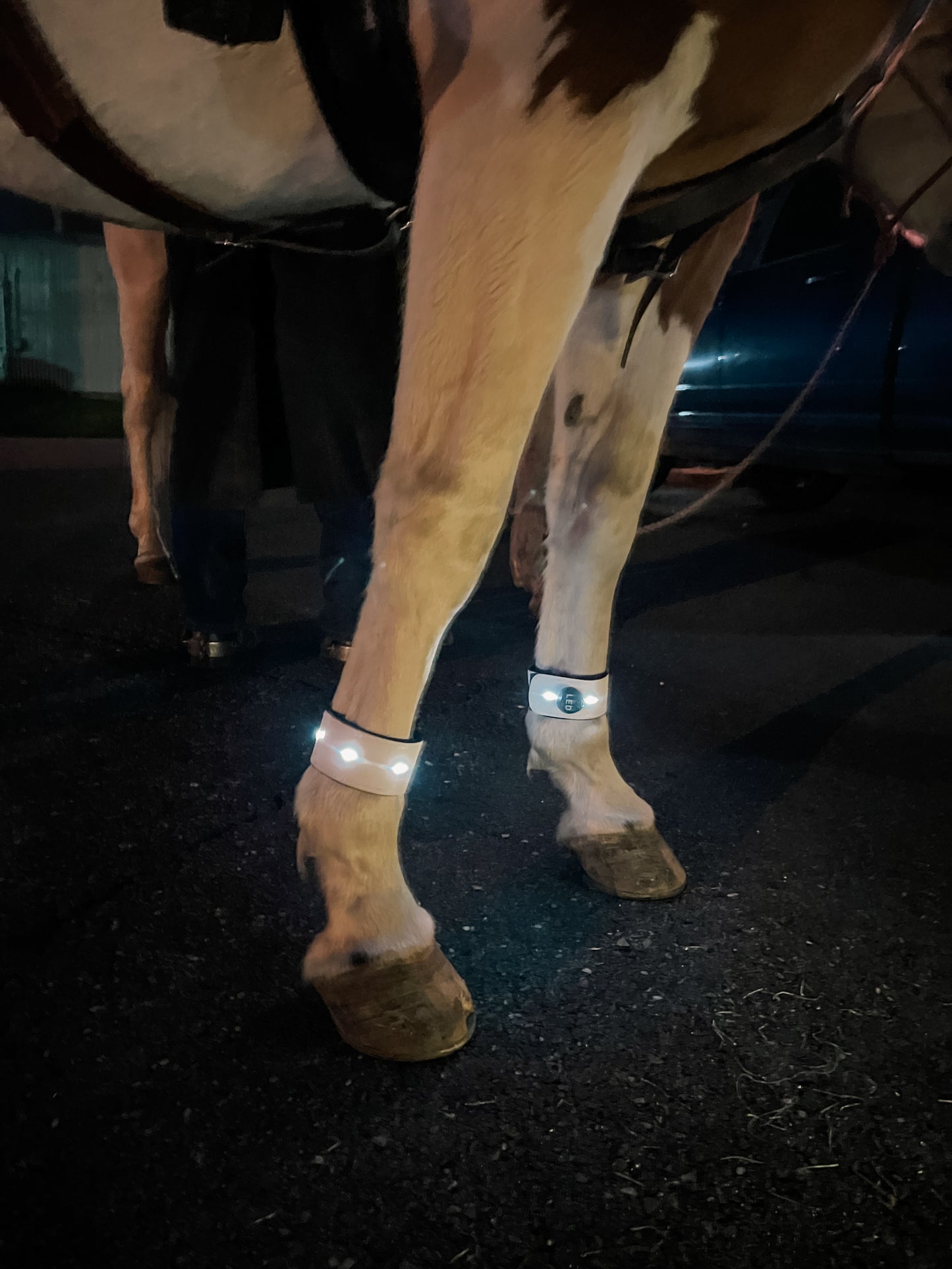 Reflective Horse LED Leg Strap - Equine Safety Lights