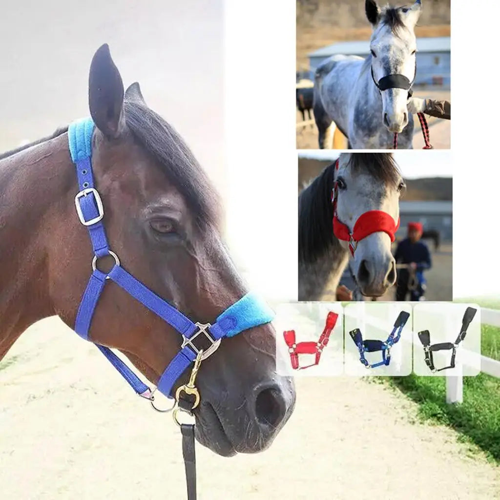 Comfy Thicken Pony Cob Horse Halter Bridle Head Collar Strap Equipment Horse Bridle Headstall Accessories Western