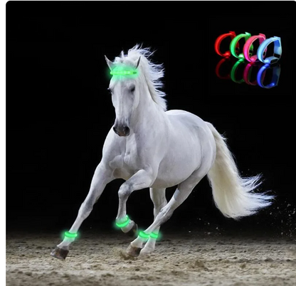 "Light Up Your Ride with Equine LED Leg Straps - Set of 4!"