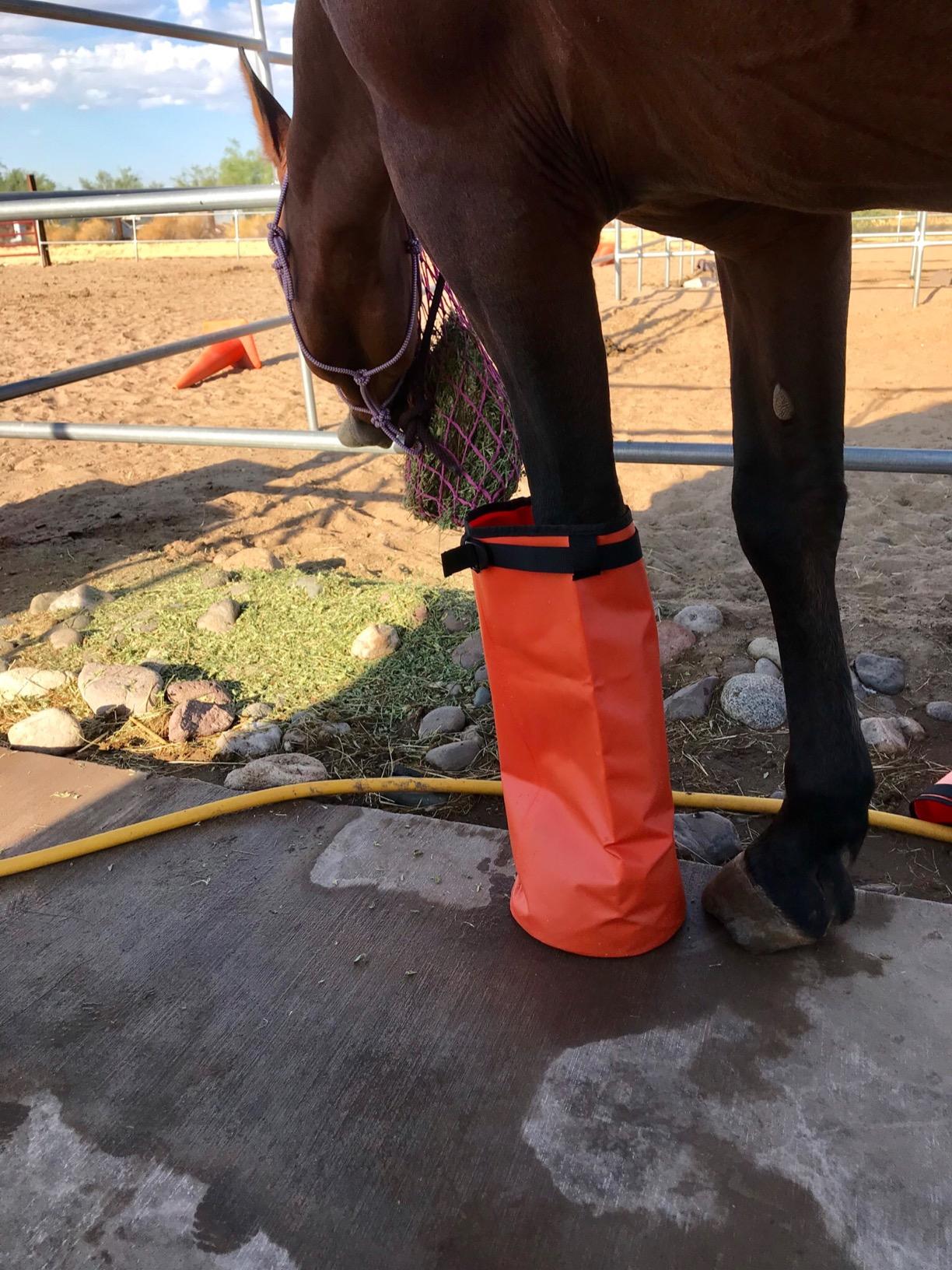 Horse Leg Boot Soaker Waterproof Soaking Bag Equine Health Hoof Soa GlowHorse