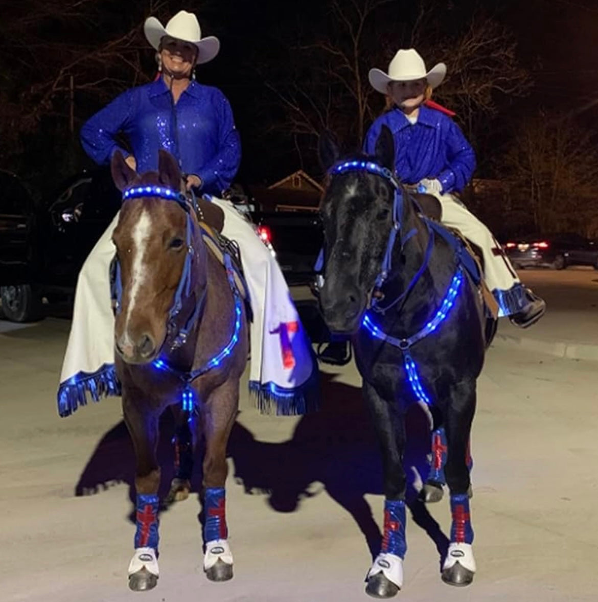 "Rechargeable LED Horse Breast Collar - Illuminate Your Ride!"