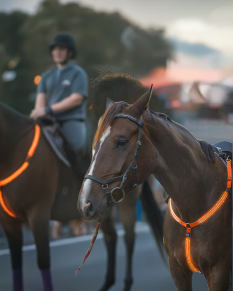 "Rechargeable LED Horse Breast Collar - Illuminate Your Ride!"