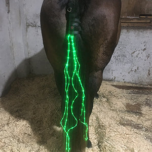 Equine LED Combo Kit - Breast Collar + Tail Light + (4) Leg Straps