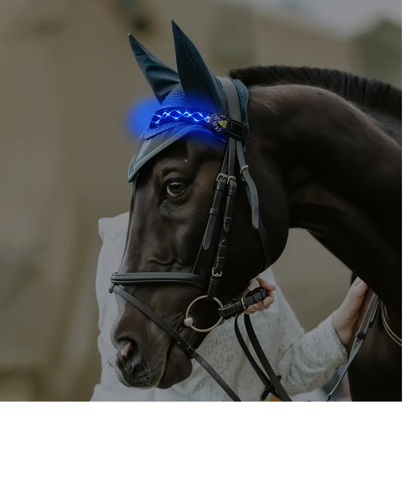 Diamond Embroidery Horse LED Head Collar Strap- Equine Safety Lights