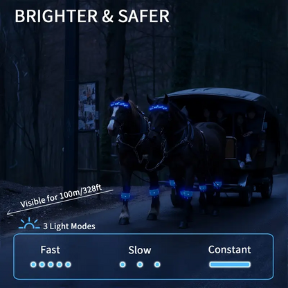 Diamond Embroidery Horse LED Head Collar Strap- Equine Safety Lights