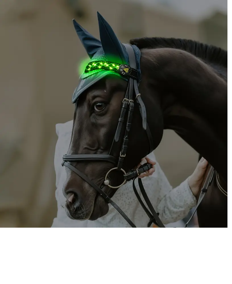 Diamond Embroidery Horse LED Head Collar Strap- Equine Safety Lights