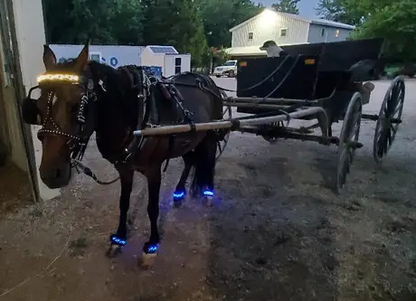 Diamond Embroidery Horse LED Head Collar Strap- Equine Safety Lights