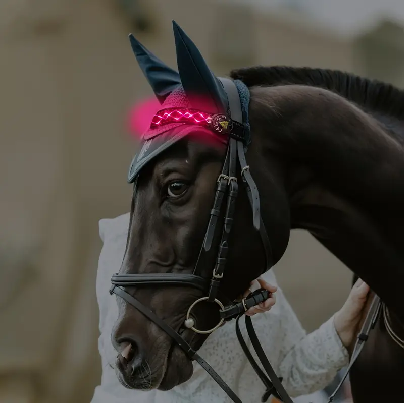 Diamond Embroidery Horse LED Head Collar Strap- Equine Safety Lights