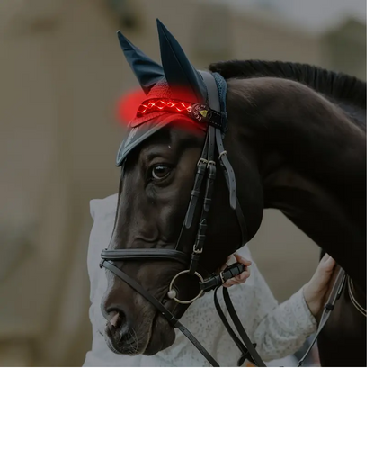 Diamond Embroidery Horse LED Head Collar Strap- Equine Safety Lights