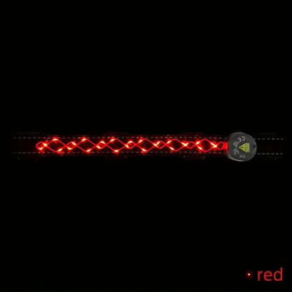 Diamond Embroidery Horse LED Head Collar Strap- Equine Safety Lights