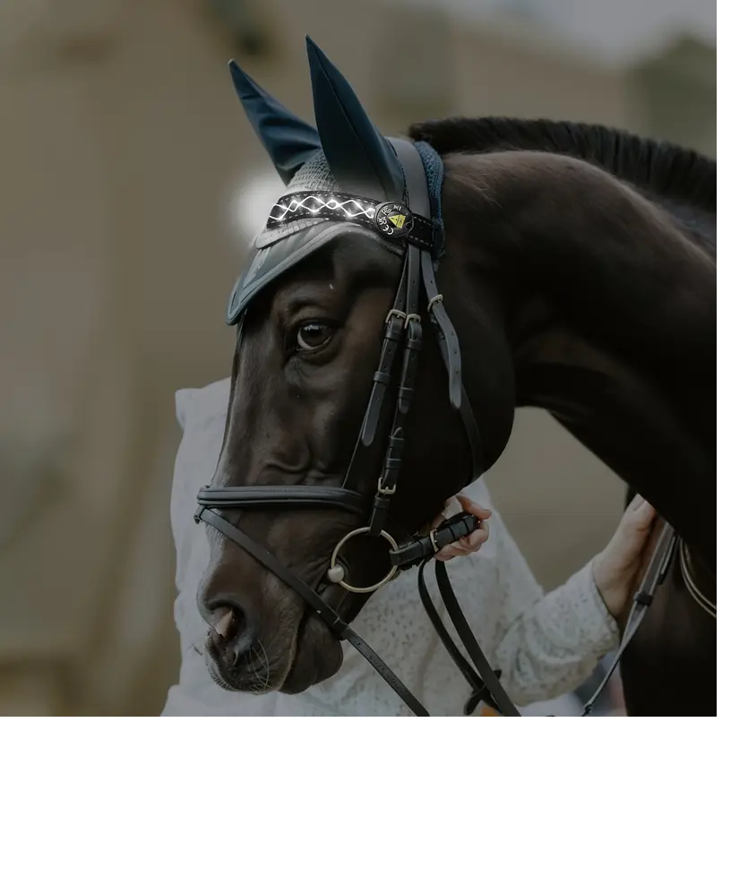 Diamond Embroidery Horse LED Head Collar Strap- Equine Safety Lights