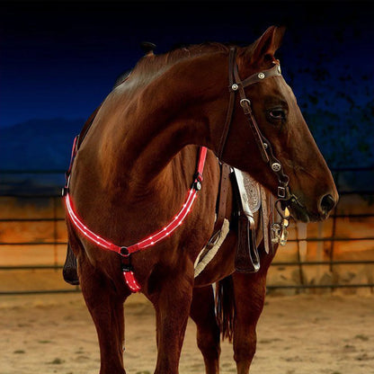 Equine LED Combo Kit - Breast Collar + Tail Light + (4) Leg Straps