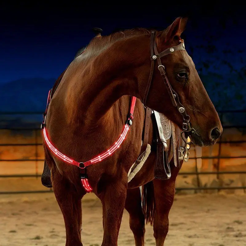 Pettorale Luminoso Cavallo Pettorale LED Per Cavallo Regolabile - Alta Pettorale Luminoso Cavallo Pettorale LED Per Cavallo Regolabile - Alta